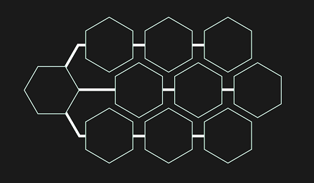 multiple hexagons with icons representing E6 medical licenses in the shape of a hierarchical tree